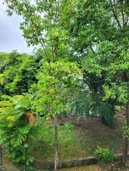 Oxley Garden (D9), Apartment #500944241